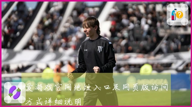 爱游戏官网地址入口及网页版访问方式详细说明