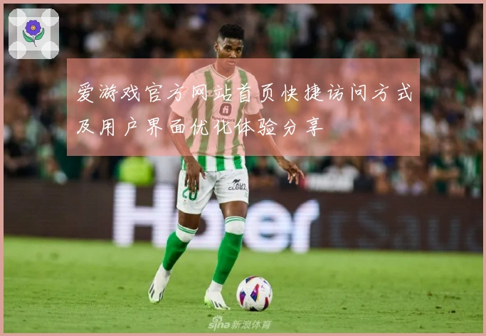 爱游戏官方网站首页快捷访问方式及用户界面优化体验分享